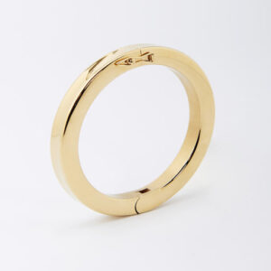Bracelet Jonc Darwin (Acier doré)