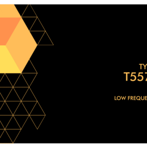 T5577 / Low Frequency Blank Blank Tag