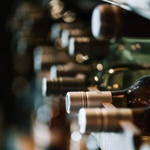 Tous les Vins et Champagnes Bio