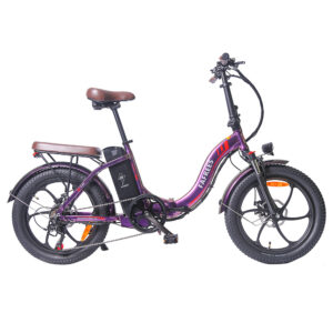 FAFREES F20 Pro Vélo électrique 20 pouces Cadre pliable Violet