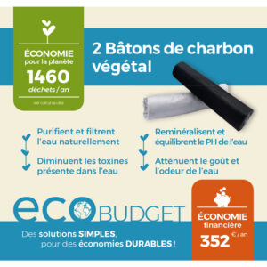 Lot de 2 b√¢tons de charbon végétal actif