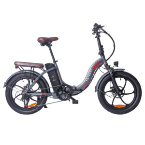 FAFREES F20 Pro Vélo électrique 20 pouces Cadre pliable Gris