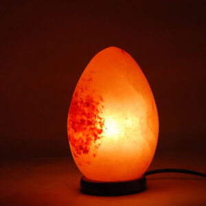 Lampe de sel en forme d’oeuf
