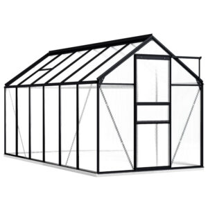 vidaXL Serre avec cadre de base Anthracite Aluminium 7,03 m¬≤
