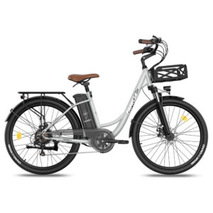 Vélo électrique FAFREES F26 Lasting – Moteur 250W Batterie 36V20.3Ah Assisted Autonomie 160KM Frein à Disque Mécanique – Gris